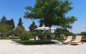 Villa Tersa